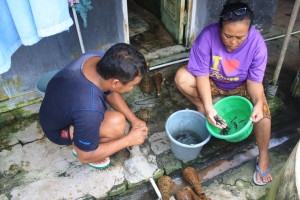Herman membersihkan ikan uceng hasil tangkapannya