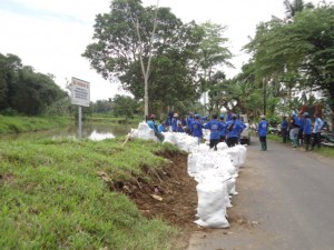 poto tenaga TPOP dan THL Ambil tanah uruk