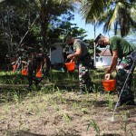 2E05828D-0D7E-430F-B6E0-8BE10DEF20EF