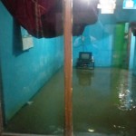 IMG-20210203-WA0038