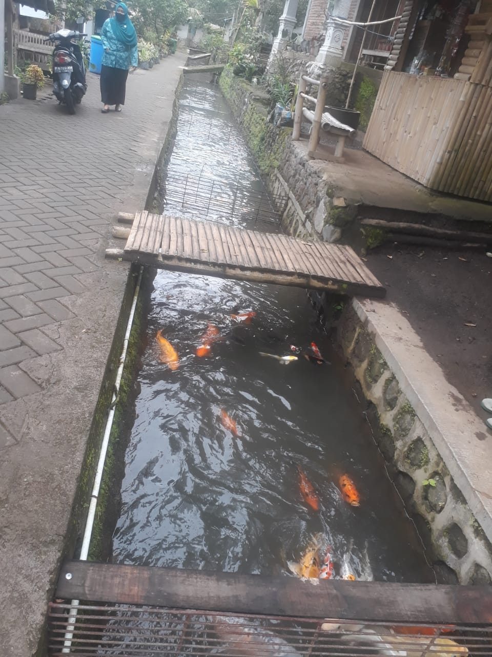 IMG-20210305-WA0023