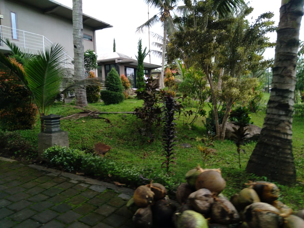 IMG-20210310-WA0045