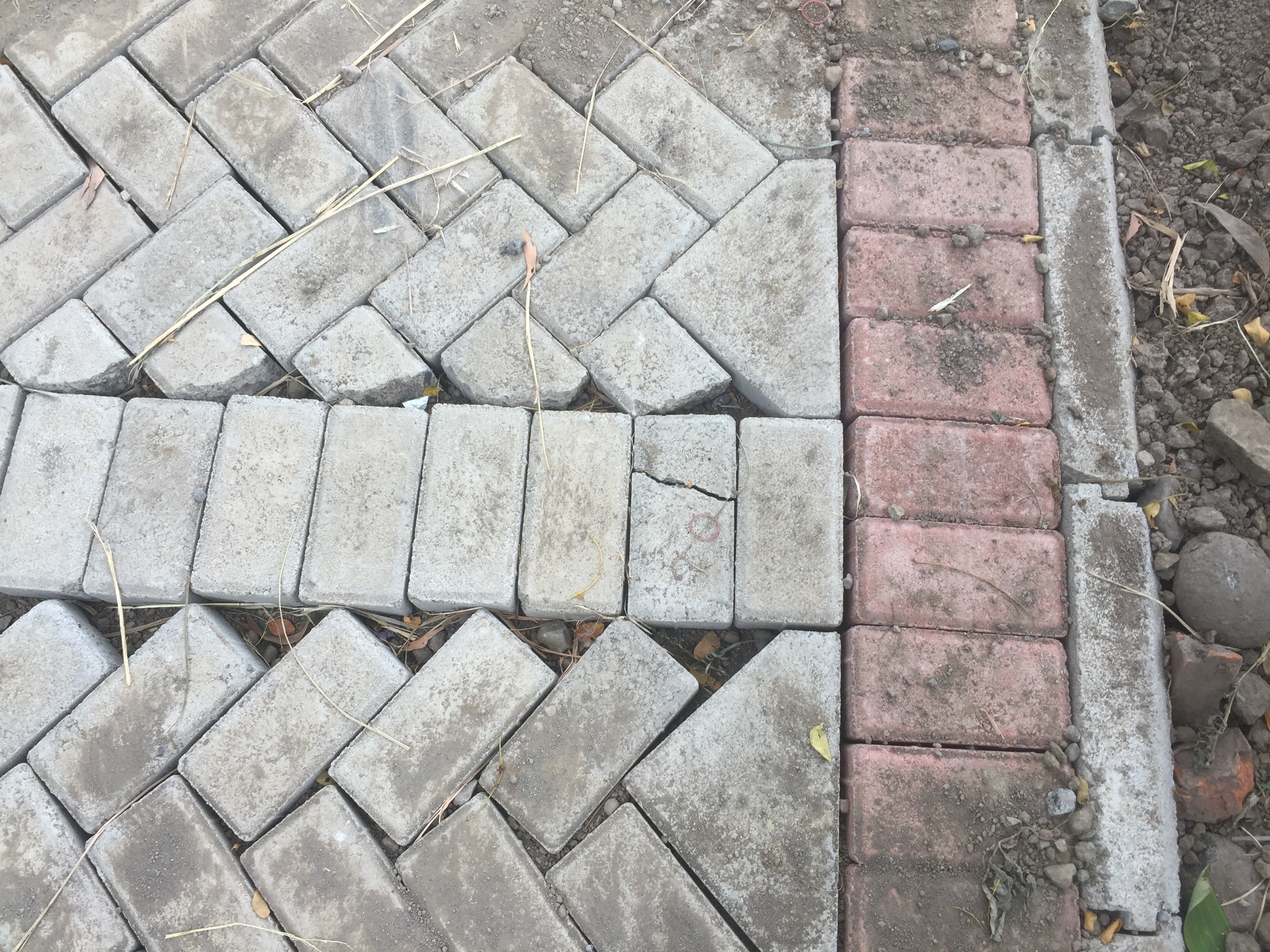 Foto : Paving Block tetap dipasang. (Doc,Rony)