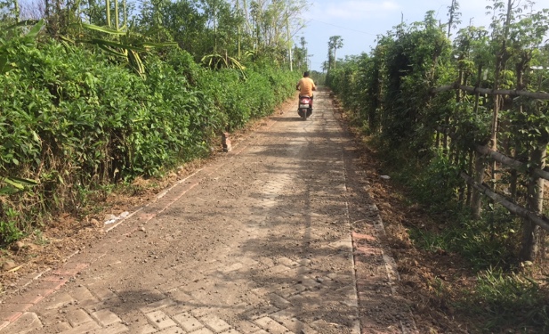 Foto : Lokasi proyek Pavingisasi jalan sawah di Desa Sembulung. (Doc, Rony),