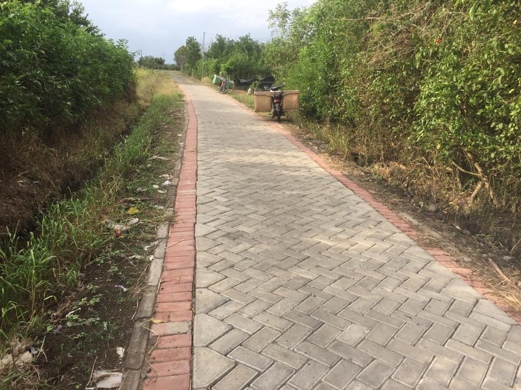 Nampak pembangunan jalan berpaving yang tidak ada papan nama proyek, lokasi tersebut dijalan persawahan Desa Wringinagung, Kecamatan Gambiran. (Foto: Rony. Jurnalnews).