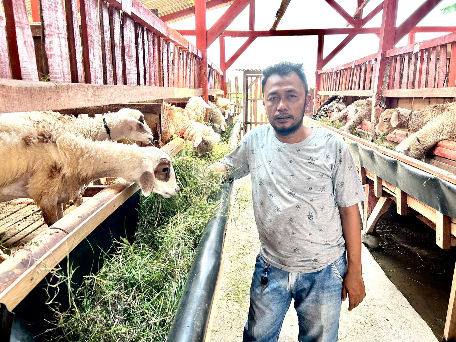 Seorang wartawan sukses di Banyuwangi, Nur Abidin, yang memutuskan untuk memasuki dunia beternak kambing. (Foto: Rony. Jurnalnews).